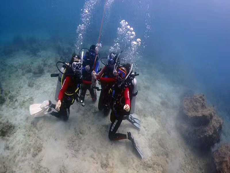 你的百潛是不是白潛了？