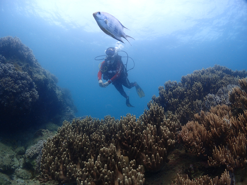 目前世界較大的潛水培訓(xùn)系統(tǒng)有哪些？