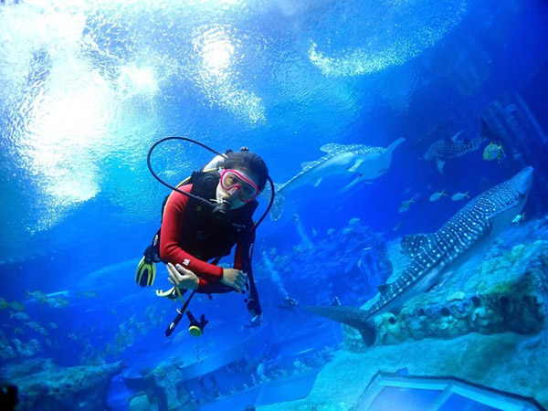 潛在水里，學(xué)做一條靜靜的魚