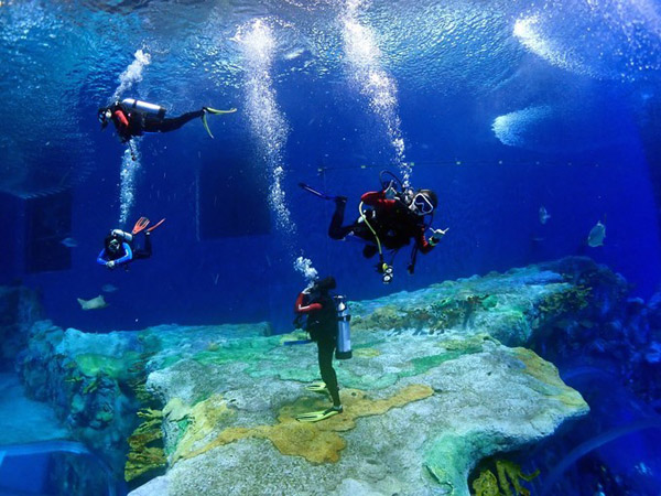 潛在水里，學(xué)做一條靜靜的魚