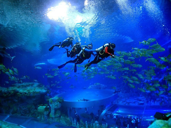 潛在水里，學(xué)做一條靜靜的魚