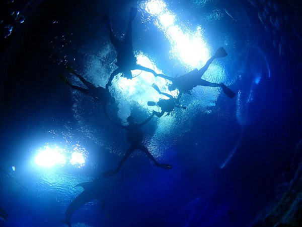 潛在水里，學(xué)做一條靜靜的魚