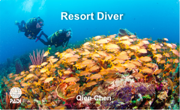 12/12正式上線！PADI 最新課程【休閑潛水員Resort Diver】 丨 一天拿證，潛遍全球