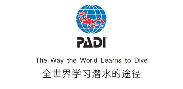 12/12正式上線！PADI 最新課程【休閑潛水員Resort Diver】 丨 一天拿證，潛遍全球