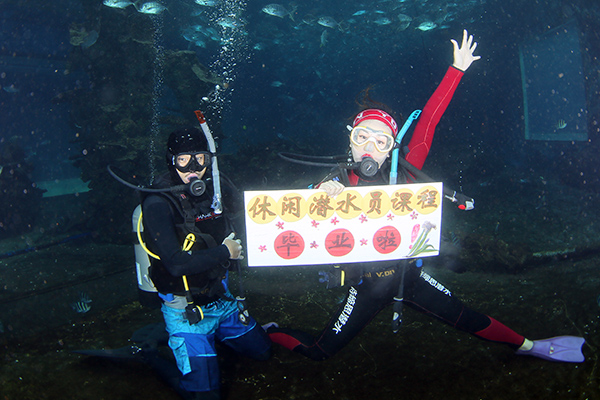 12/12正式上線！PADI 最新課程【休閑潛水員Resort Diver】 丨 一天拿證，潛遍全球