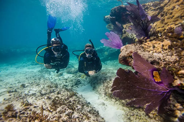 【水肺潛水安全嗎？】轉(zhuǎn)自PADI