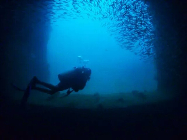 潛水拍照新姿勢，放下你的剪刀手，我們來這樣拍