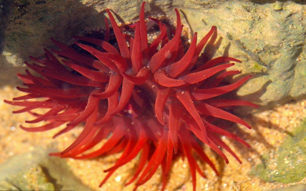 等指?？? title=