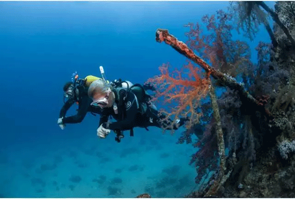 成為潛水員之前的你，是不是也問過這些問題？