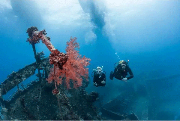 成為潛水員之前的你，是不是也問過這些問題？