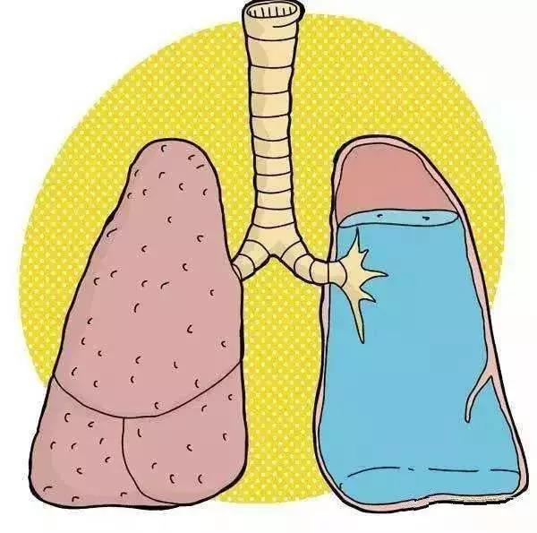 夏天玩水，一定要知道的防溺水知識(shí)！