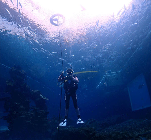 潛水常見(jiàn)問(wèn)題，原來(lái)潛水沒(méi)你想的那么難