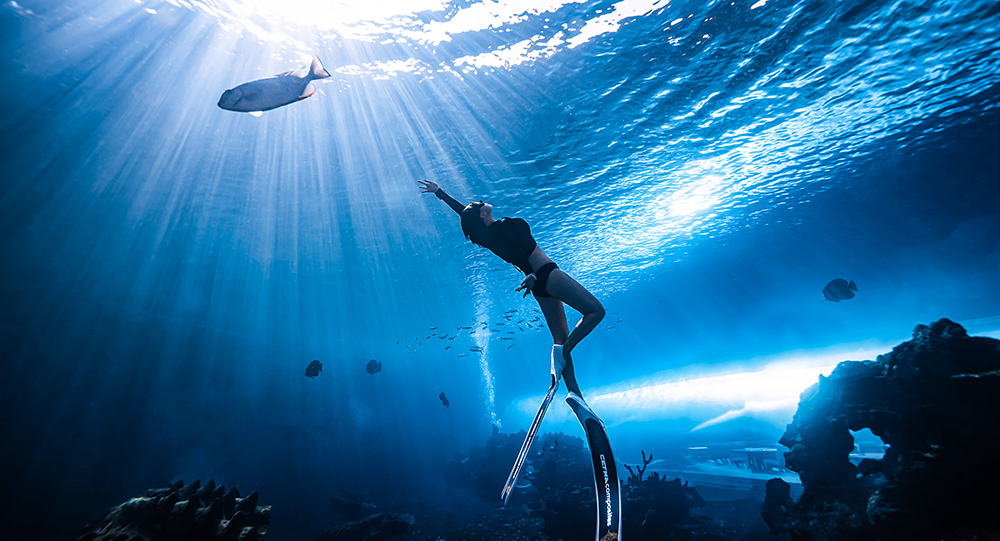 三亞水下攝影打卡地-蒂鉑海洋世界水?dāng)z項目上線了