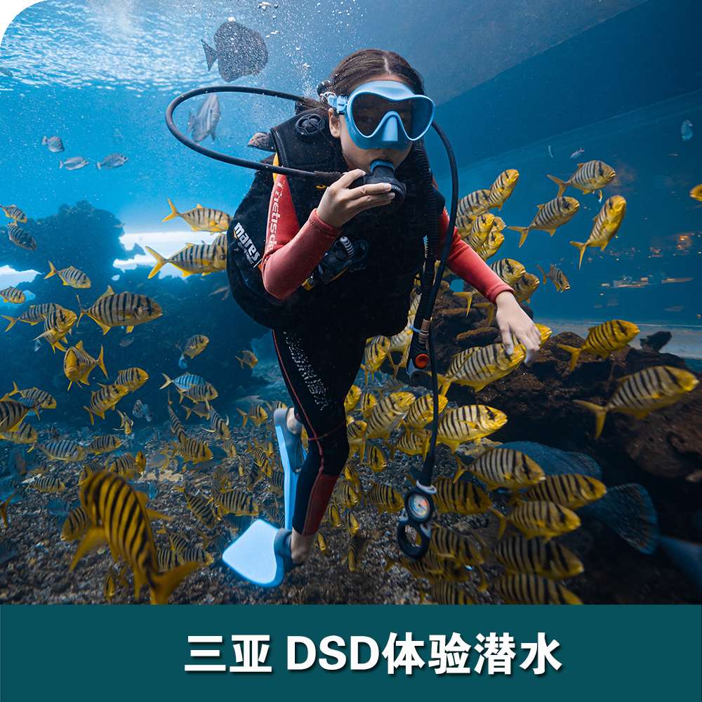 三亞洲際酒店DSD體驗(yàn)潛水