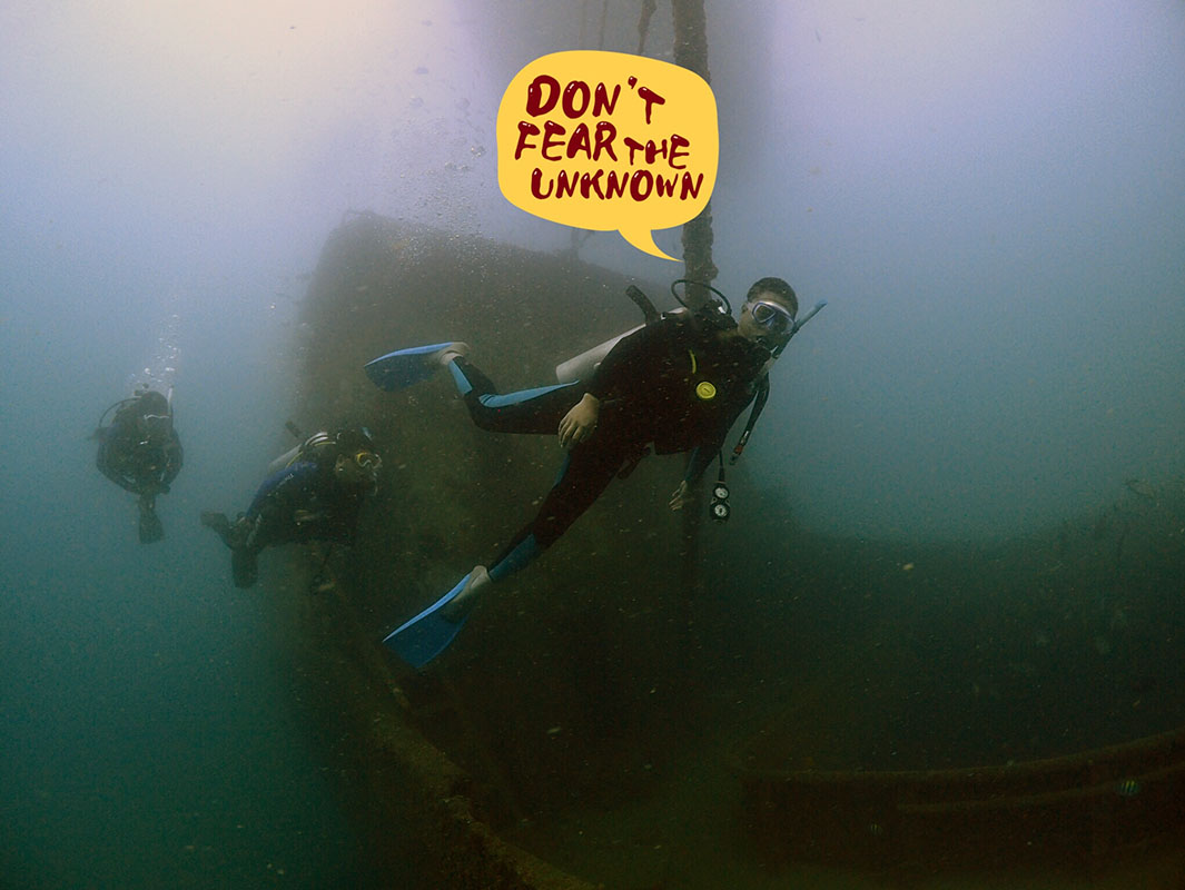 除了俯瞰大地的飛翔，還有潛入海底的翱翔。