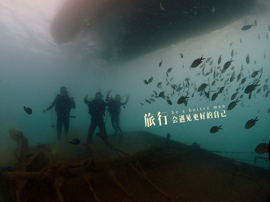 除了俯瞰大地的飛翔，還有潛入海底的翱翔。