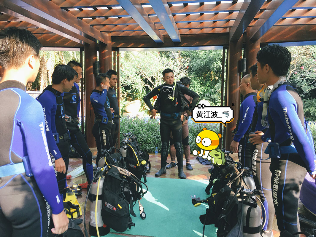 除了俯瞰大地的飛翔，還有潛入海底的翱翔。