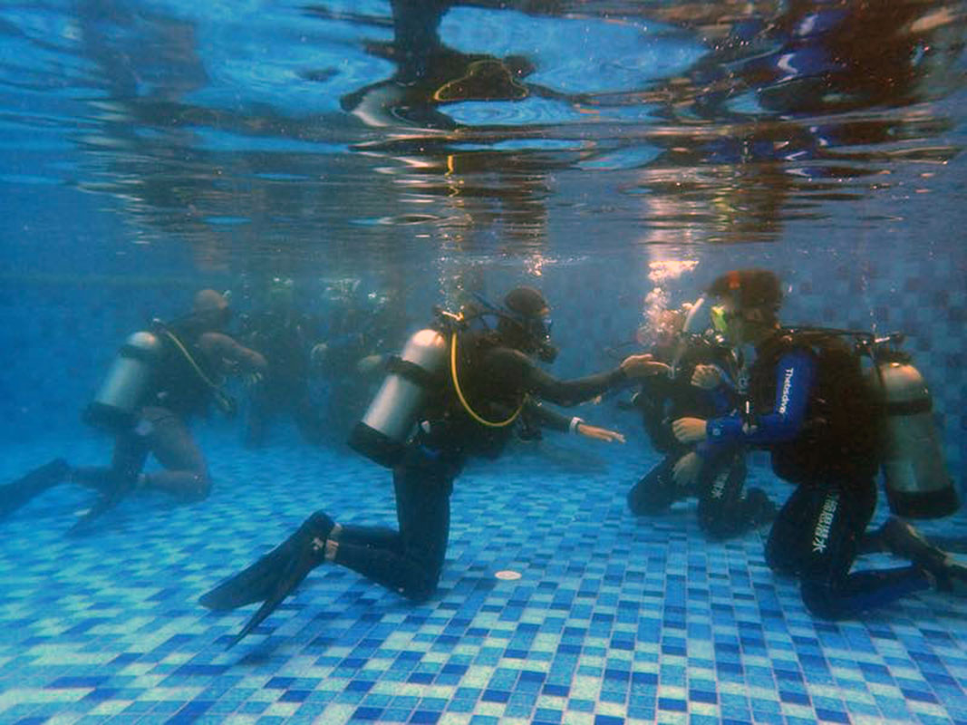 除了俯瞰大地的飛翔，還有潛入海底的翱翔。