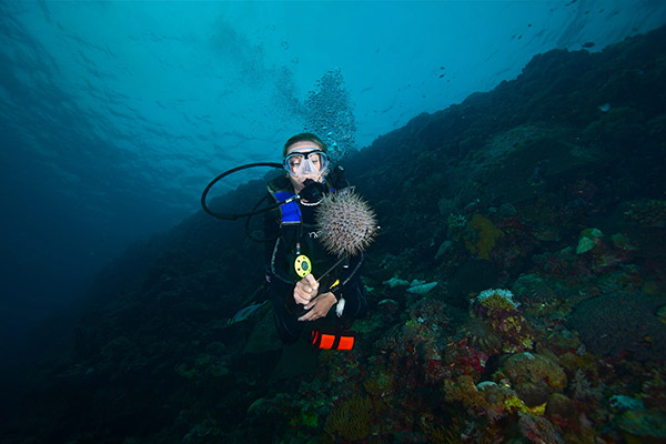 什么是耳壓平衡？
